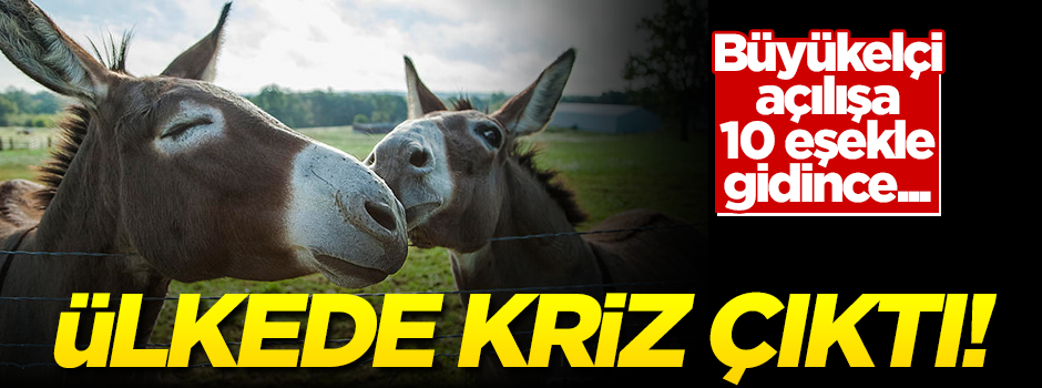 Açılışa 10 eşekle gitti, ülkede kriz çıktı!