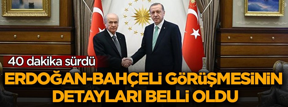 Cumhurbaşkanı Erdoğan ile Bahçeli arasındaki görüşmesinin detayları netleşti