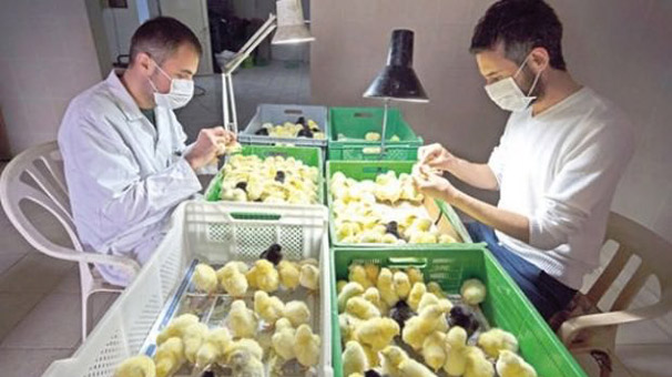 Türk seksörler piyasayı salladı! 32 bin TL maaş…