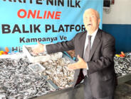 HAMSİNİN KİLOSU 89 LİRAYA DÜŞTÜ