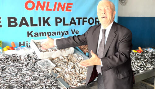 HAMSİNİN KİLOSU 89 LİRAYA DÜŞTÜ