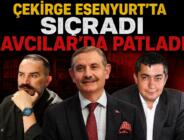 ÇEKİRGE ESENYURT’TA SIÇRADI AVCILAR’DA PATLADI