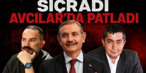 ÇEKİRGE ESENYURT’TA SIÇRADI AVCILAR’DA PATLADI