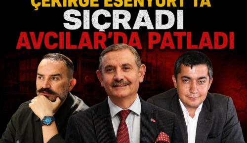 ÇEKİRGE ESENYURT’TA SIÇRADI AVCILAR’DA PATLADI